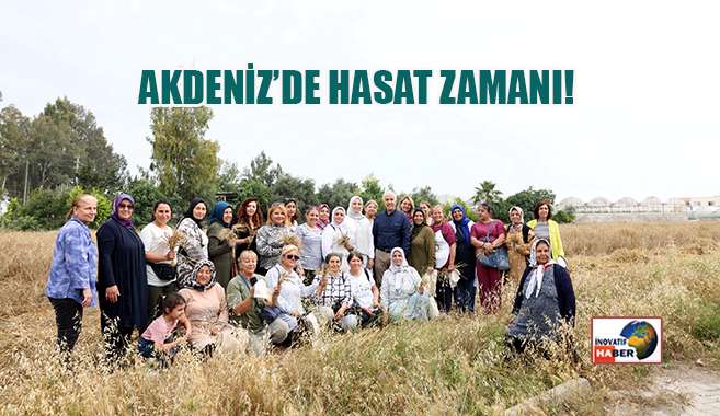 Akdeniz’de Hasat Zamanı!                   