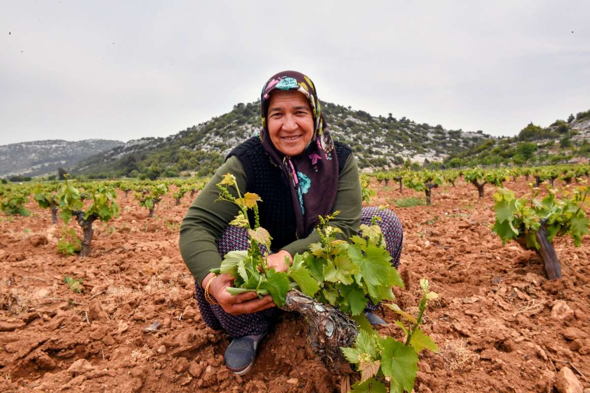 Büyükşehir Üreticilerin Girdi Maliyetlerini Düşürüyor