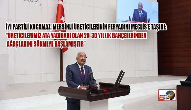 İyi Partili Kocamaz, Mersinli Üreticilerinin Feryadını Meclis’e Taşıdı