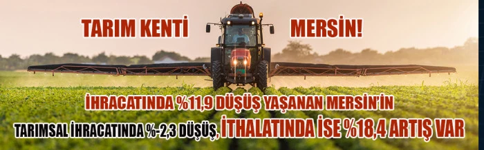 Mersin ilk 4 ayda  ihracatta düşüş ithalatta artış yaşadı.