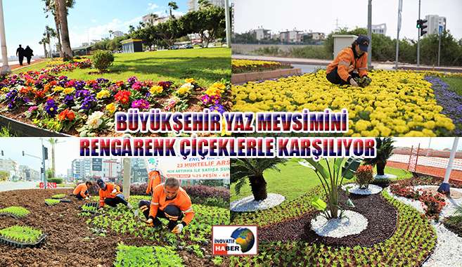 Mevsimlik Çiçek Dikimiyle Her Yer Renkleniyor
