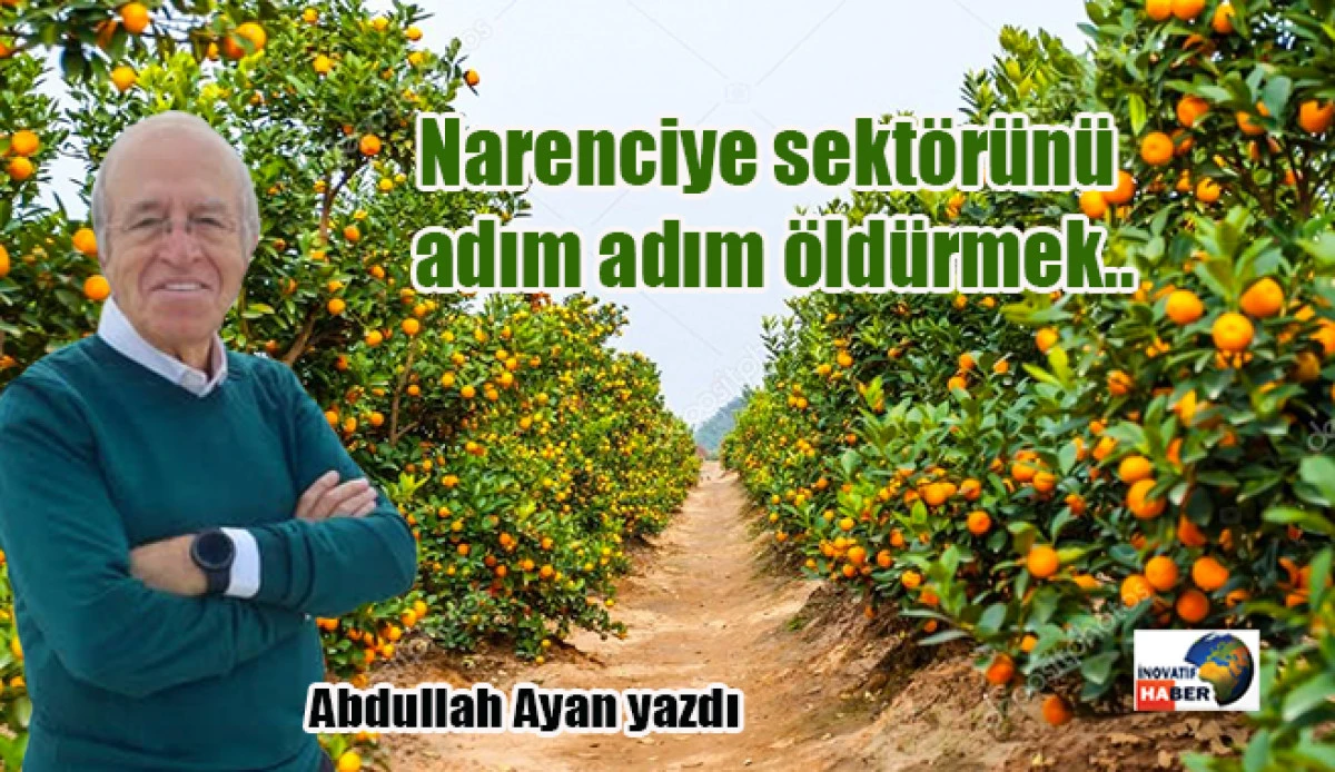 Narenciye sekt&ouml;r&uuml;n&uuml; adım adım &ouml;ld&uuml;rmek..Abdullah Ayan yazdı