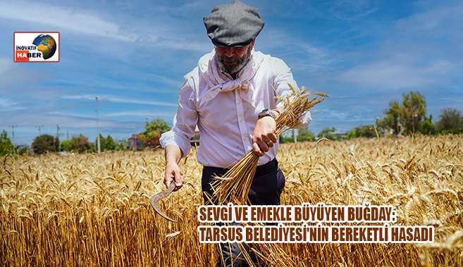Sevgi Ve Emekle Büyüyen Buğday: Tarsus Belediyesi'nin Bereketli Hasadı