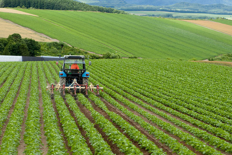 Tarım-ÜFE yıllık %61,87 arttı, aylık %5,57 arttı