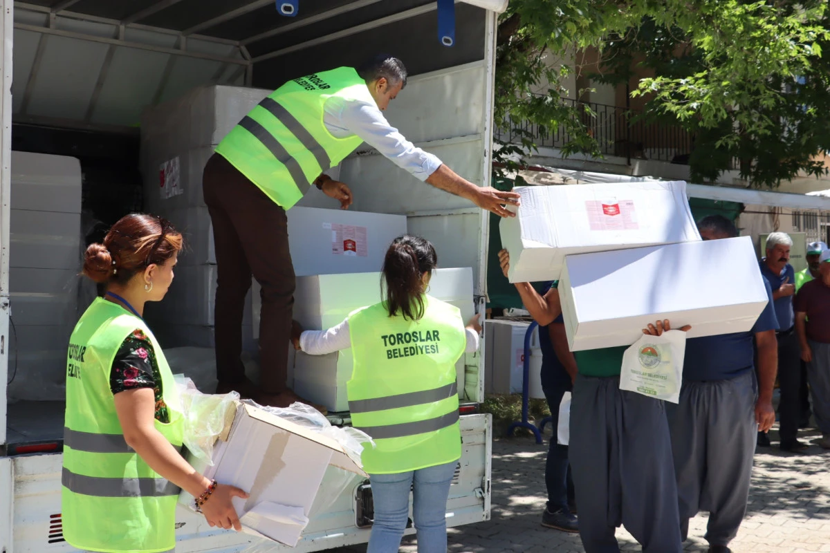 Toroslar Belediyesinin Tohum Desteği İlk Hasadını Verdi